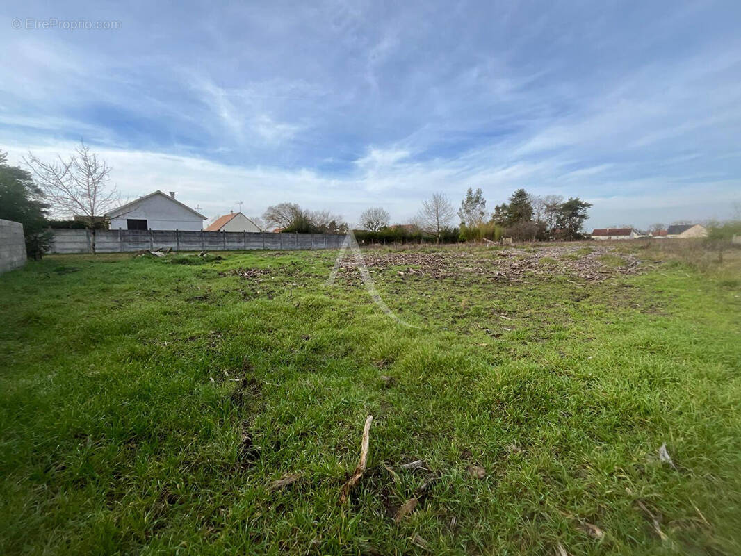 Terrain à LES MONTILS