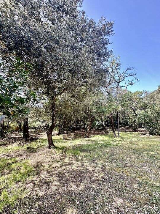 Maison 180 m² à Soulac-Sur-Mer  - photo 6