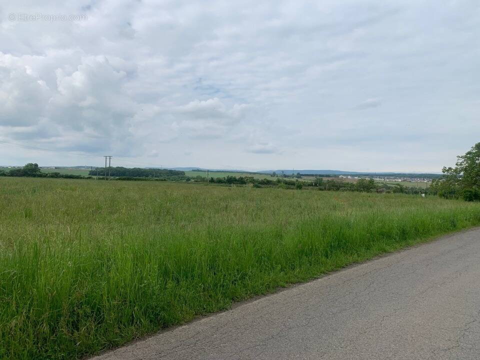Terrain à DISTROFF