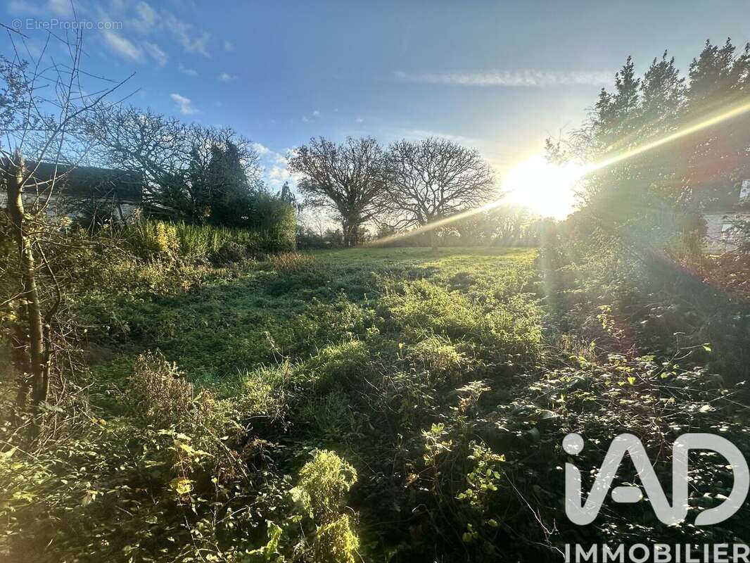 Photo 2 - Terrain à PICAUVILLE