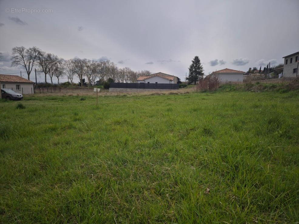 Terrain à RABASTENS