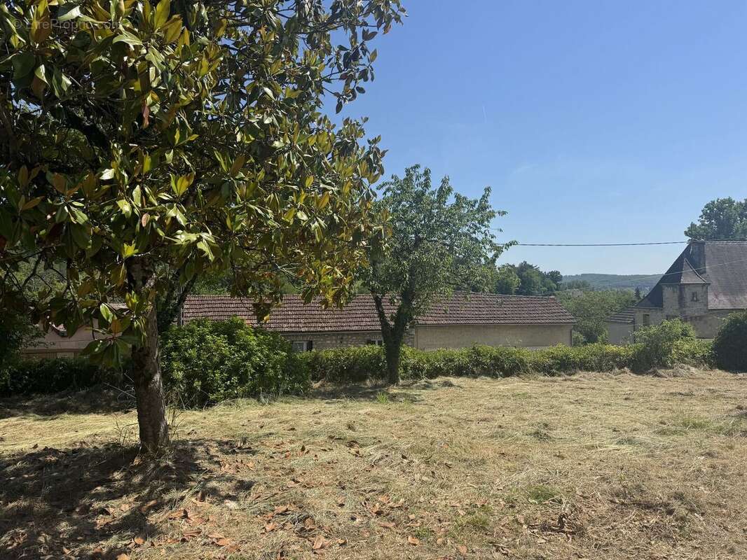 IMG3423 - Maison à SAINT-CYPRIEN