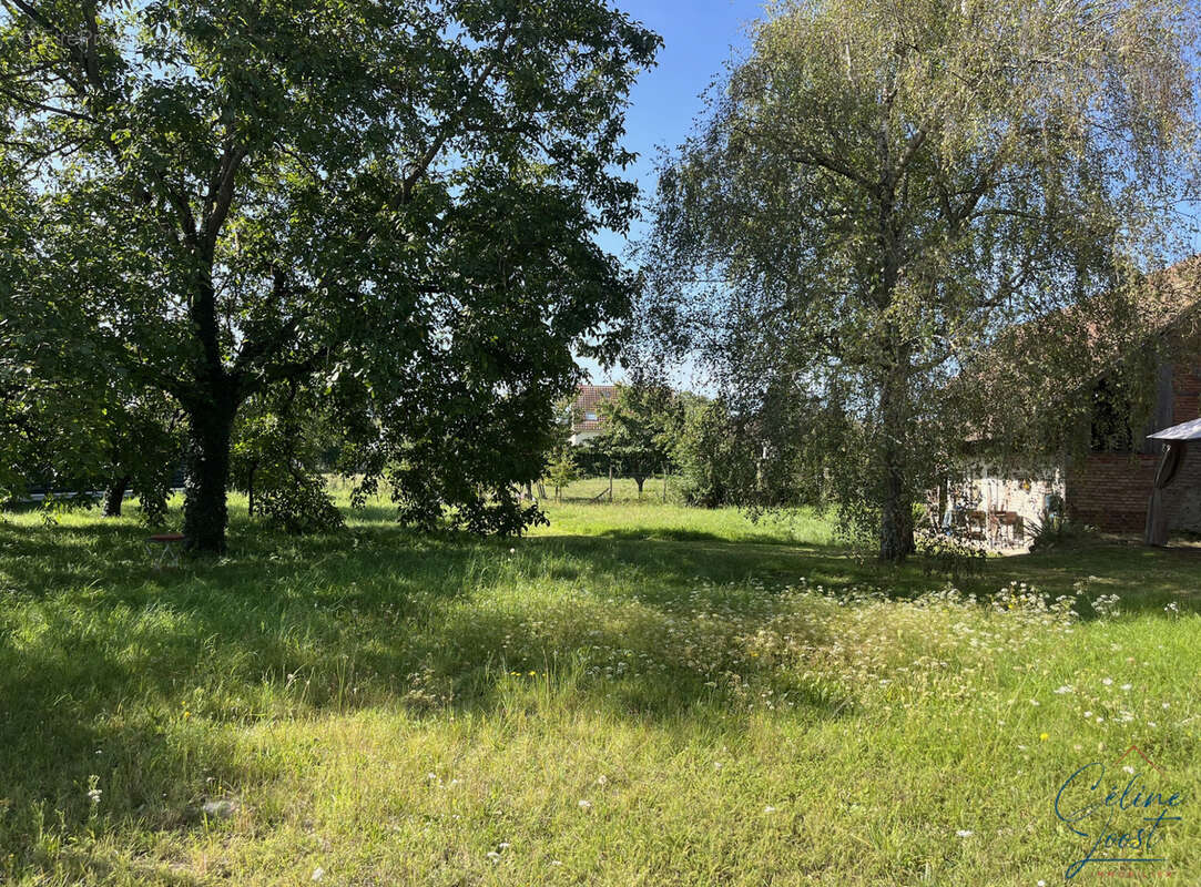EXCLUSIF ! Très beau terrain de 6,36 ares au calme ! - photo 3