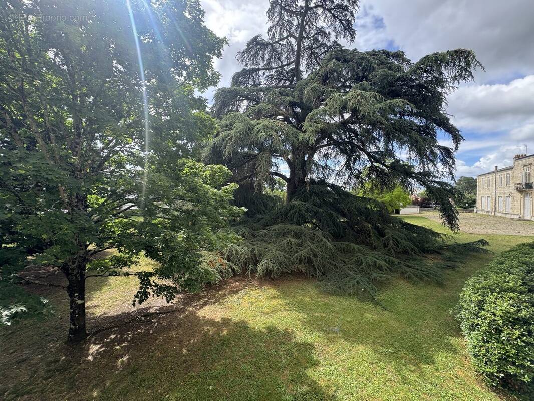 Appartement à TALENCE