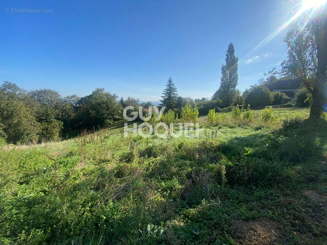 Terrain 1320 m² proche d'Orthez direction Pau - photo 4