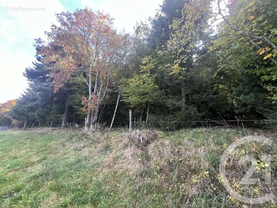 Terrain à BURDIGNES