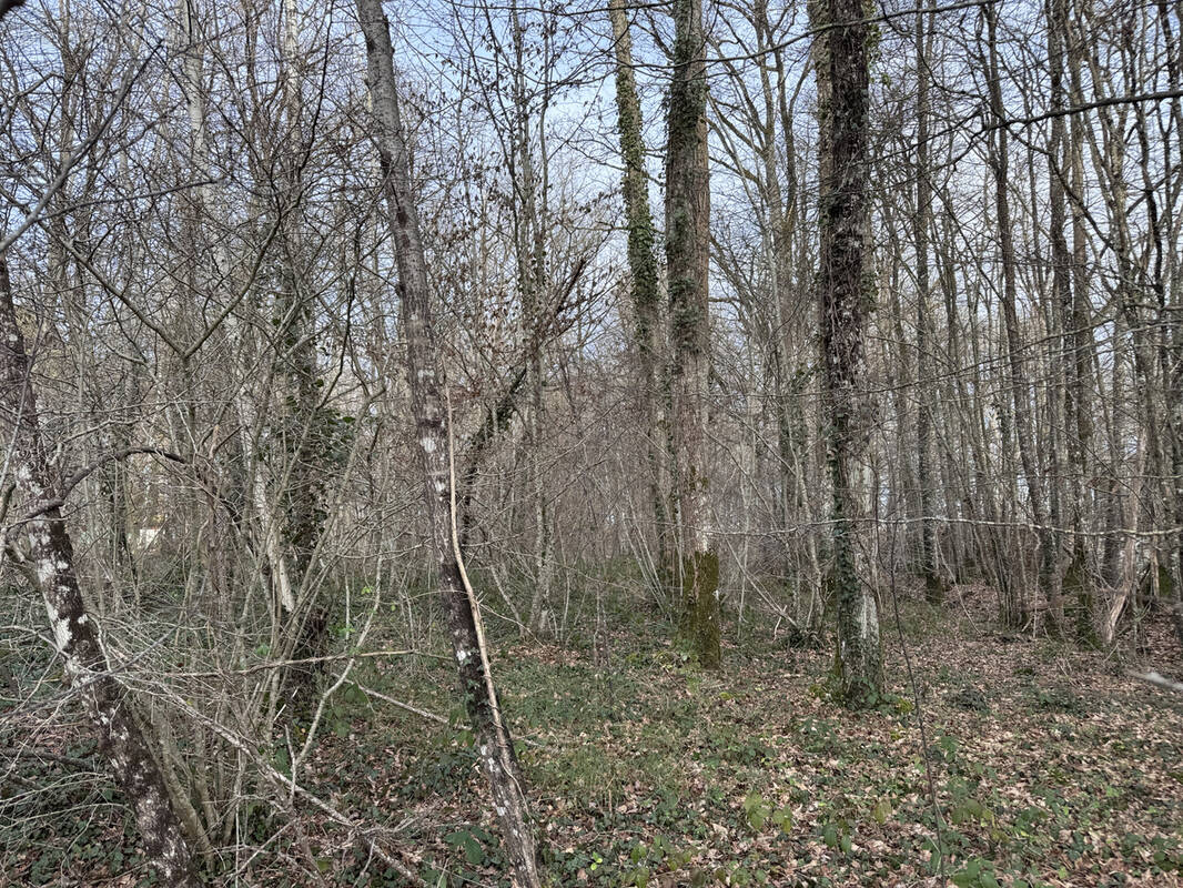 Terrain à SOMMECAISE