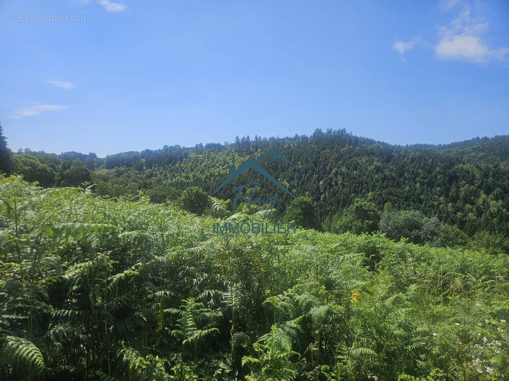 Terrain à LE THOLY