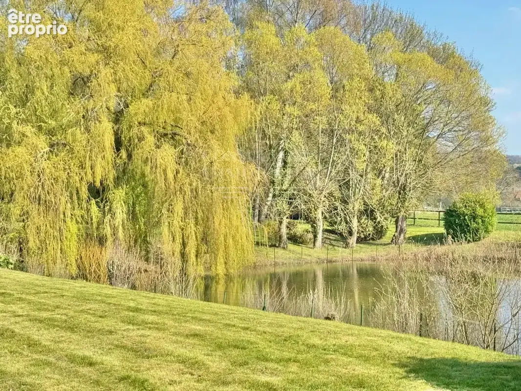 Villa anglo-normande terrain plus d'1ha. - photo 5