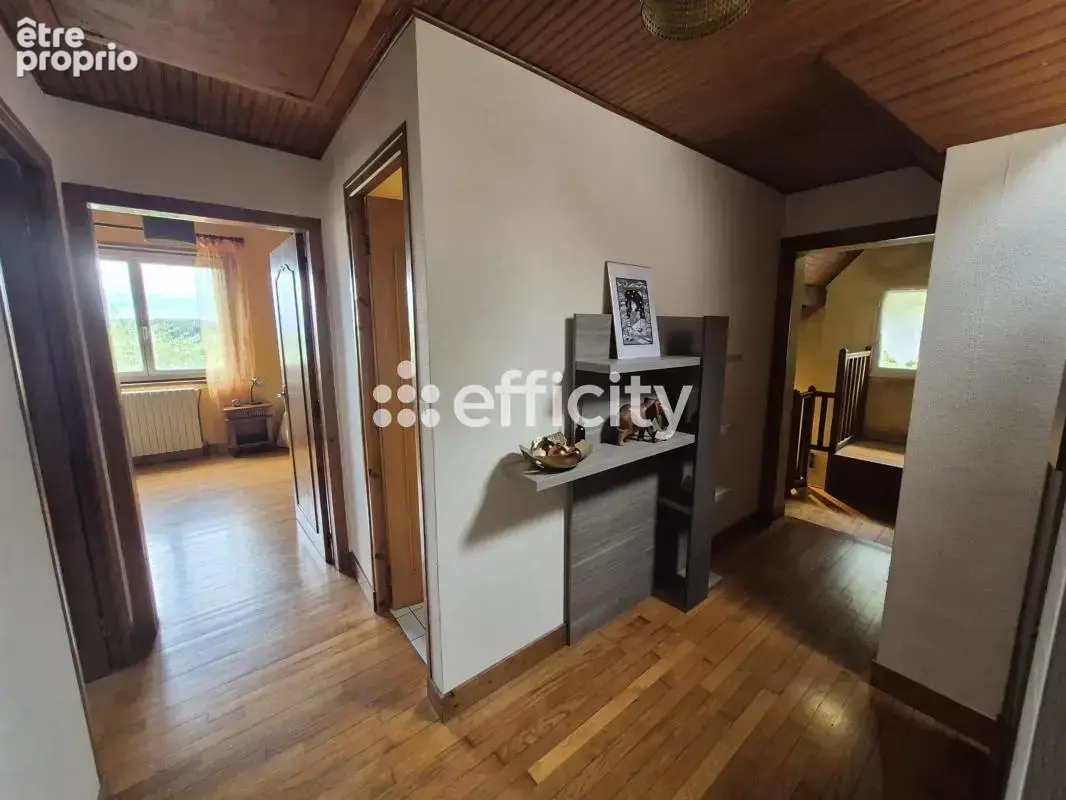 Maison 5 pièces 115 m² à vendre à Saint-Brice-Sur-Vienne (87200) - photo 6