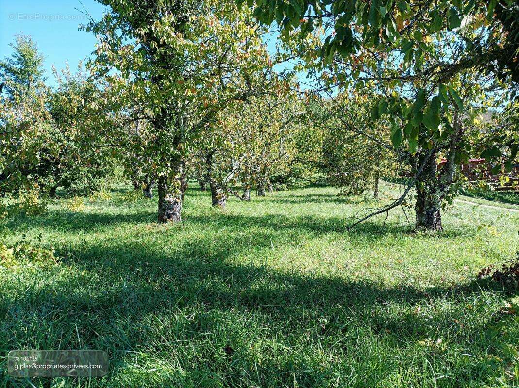 LUZECH .Terrain constructible à vendre - photo 3