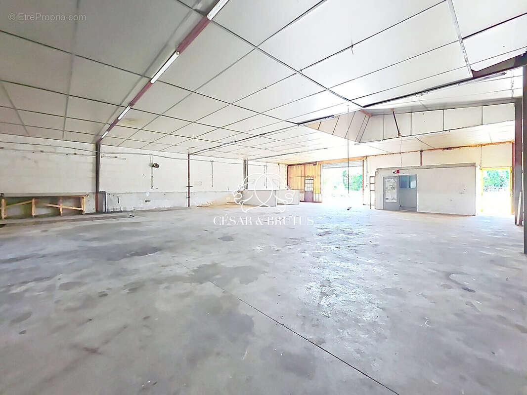 Commerce 496 m² à Saint-Vincent  - photo 5