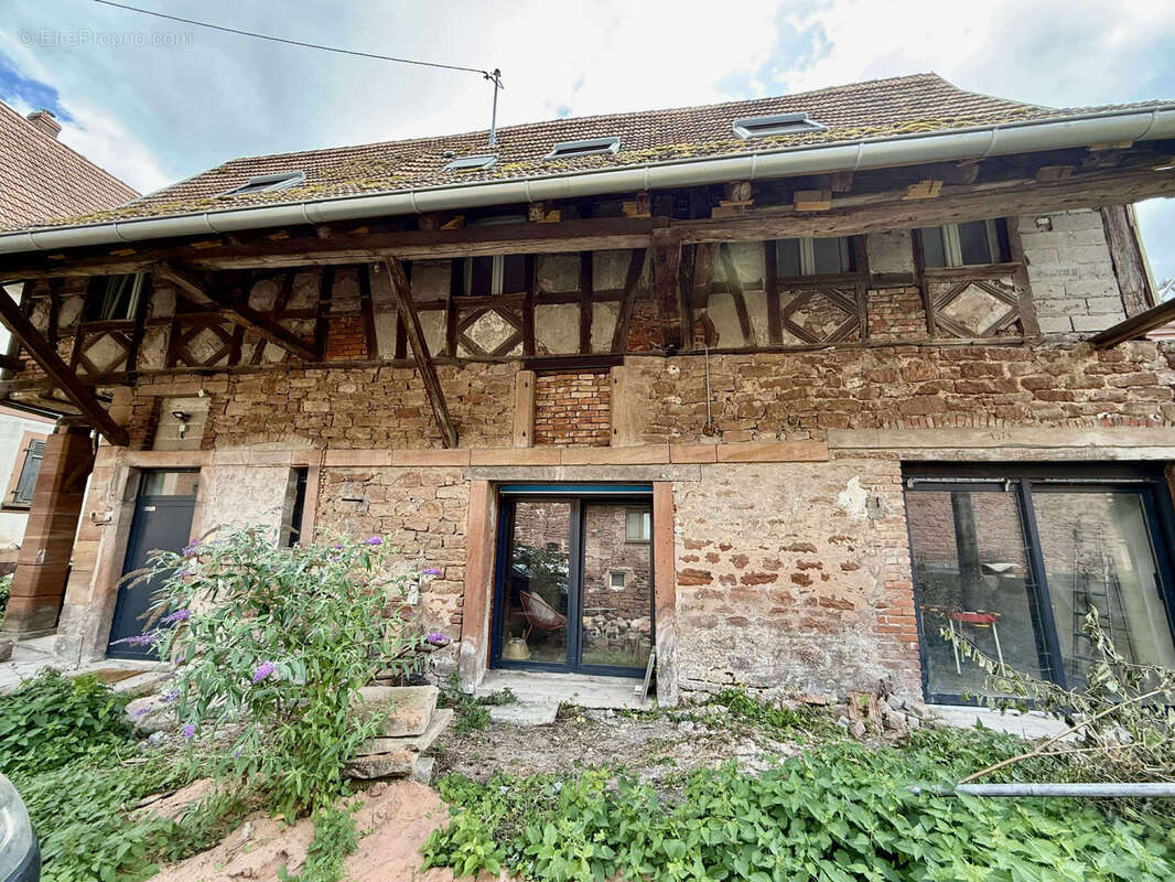 Appartement à INGWILLER