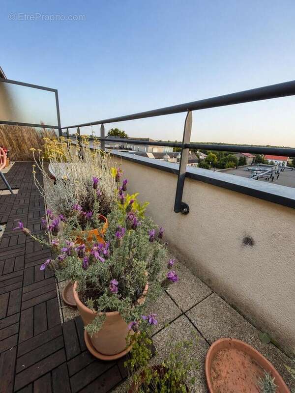 Photo 6 - Appartement à THOUARE-SUR-LOIRE