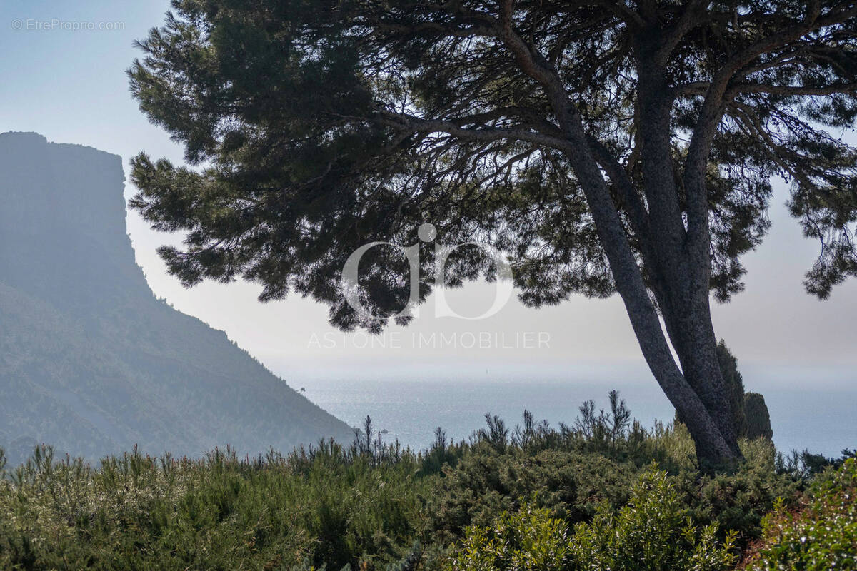 Maison à CASSIS