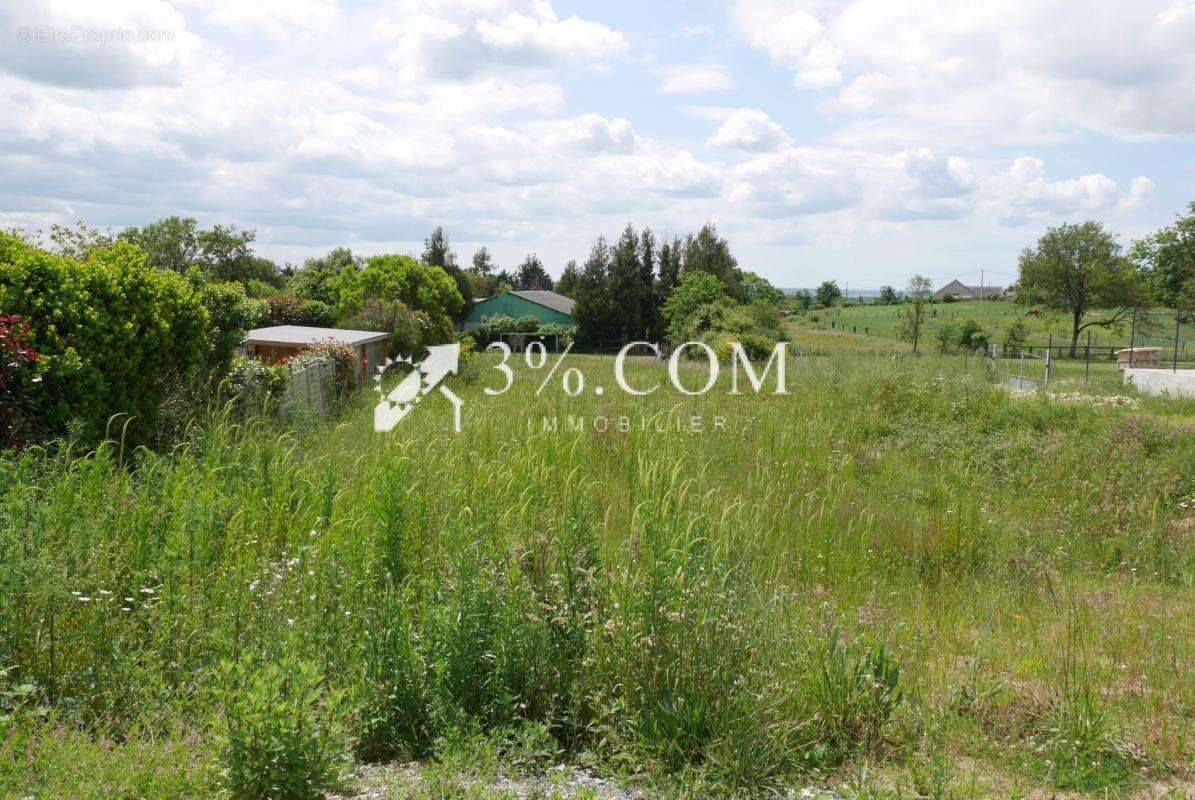 Terrain à SAVENAY