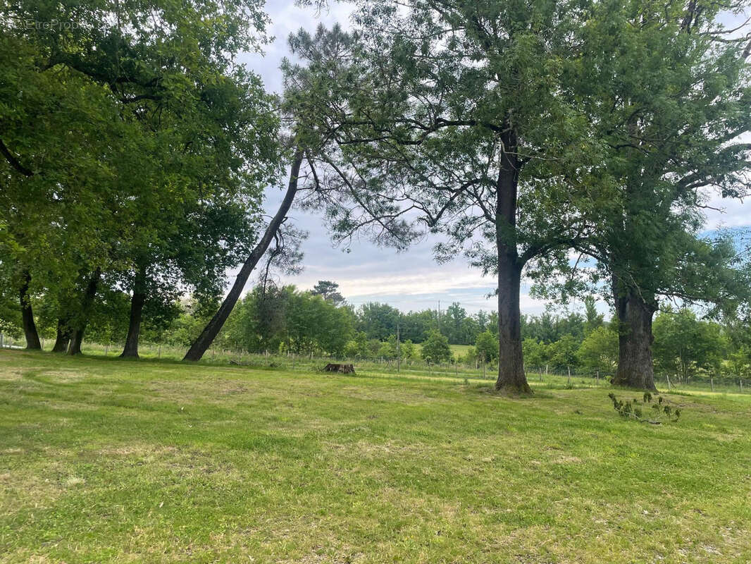 Maison à MONTPON-MENESTEROL