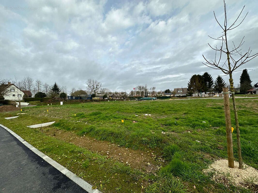 Terrain à FRICHEMESNIL
