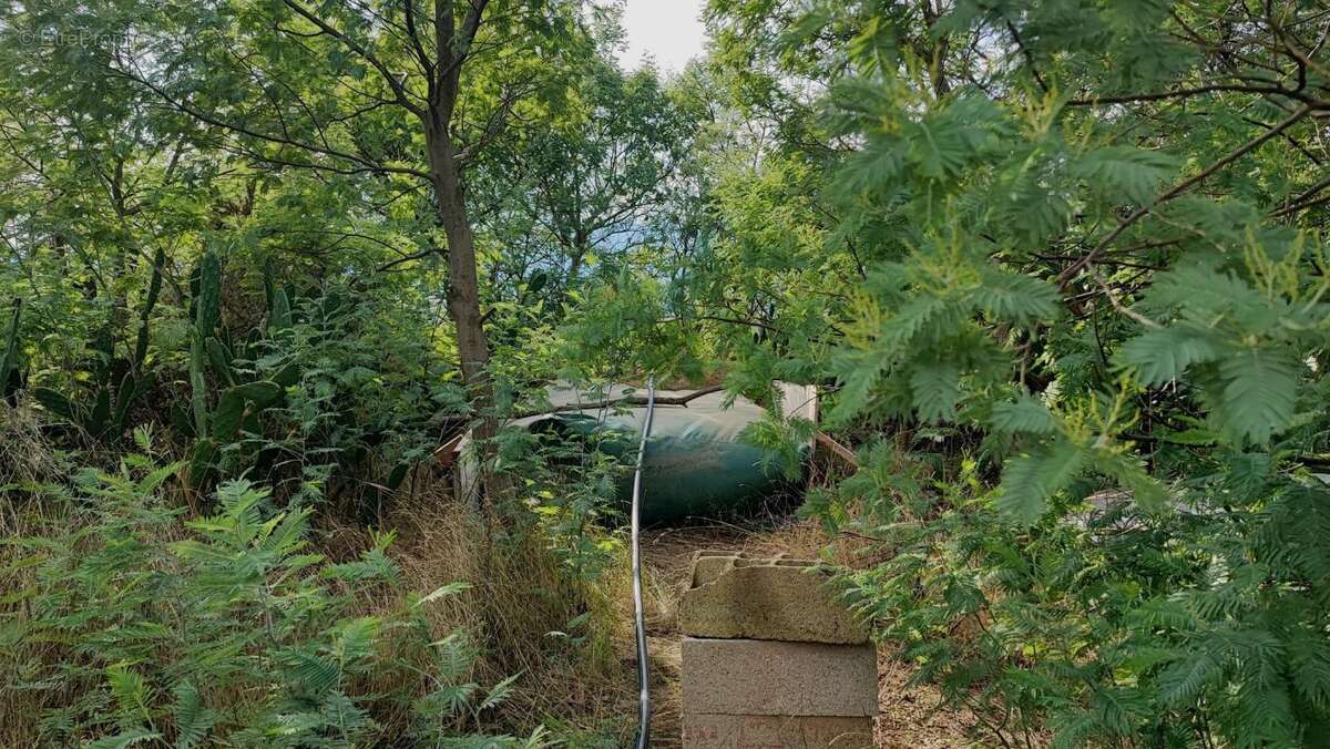 Terrain à SAINT-JEAN-PLA-DE-CORTS