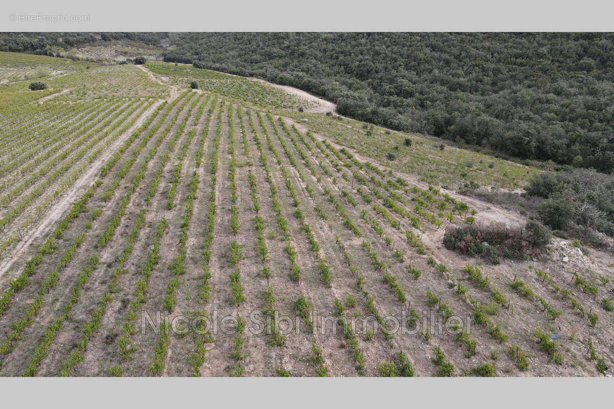 Terrain à RASIGUERES