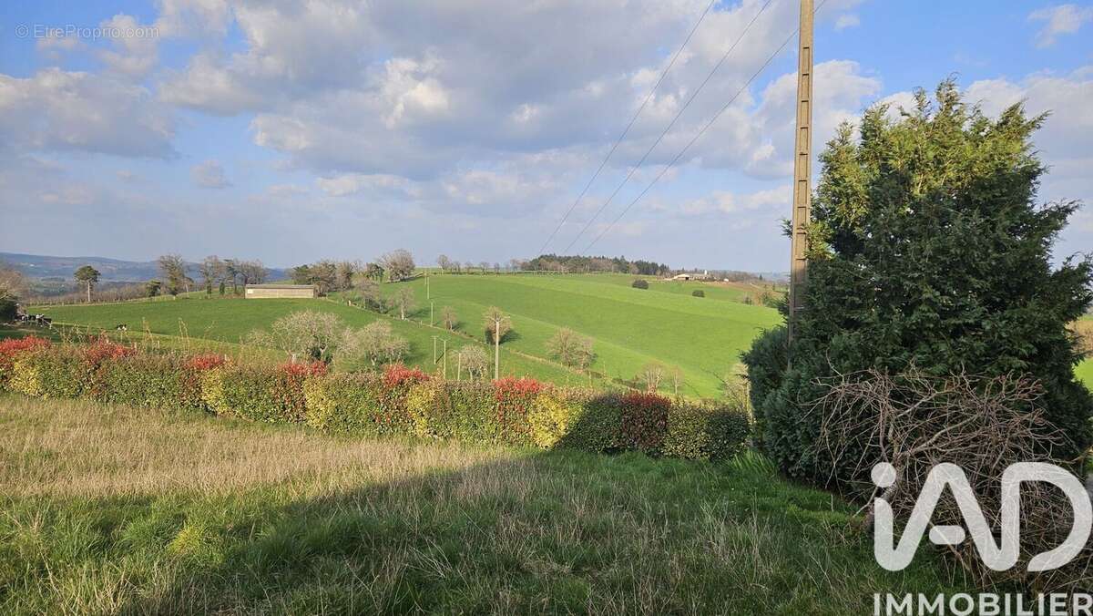 Photo 9 - Maison à CALVINET