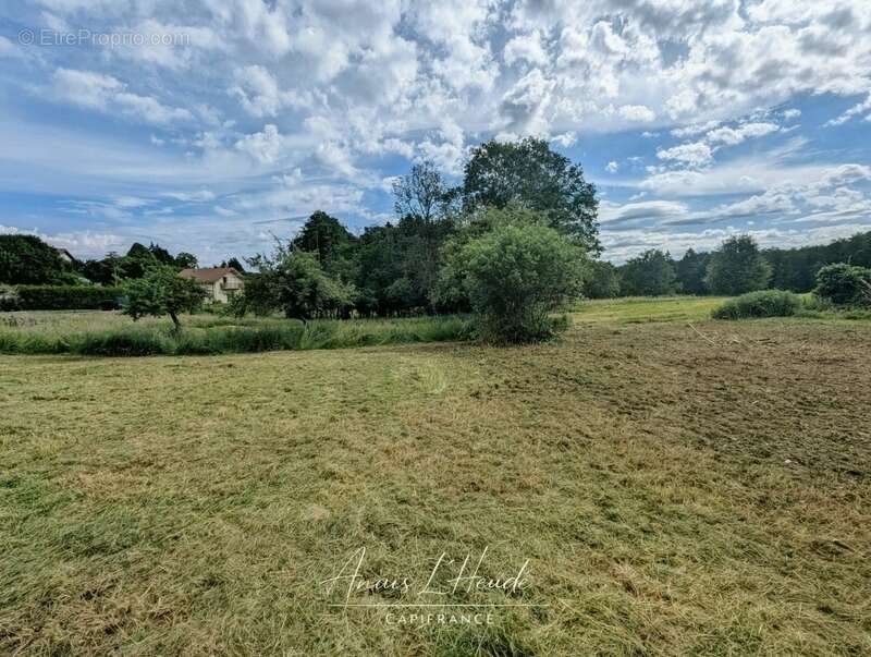 ARBUSIGNY - Terrain constructible 847 m² dans un environnement recherché - photo 6