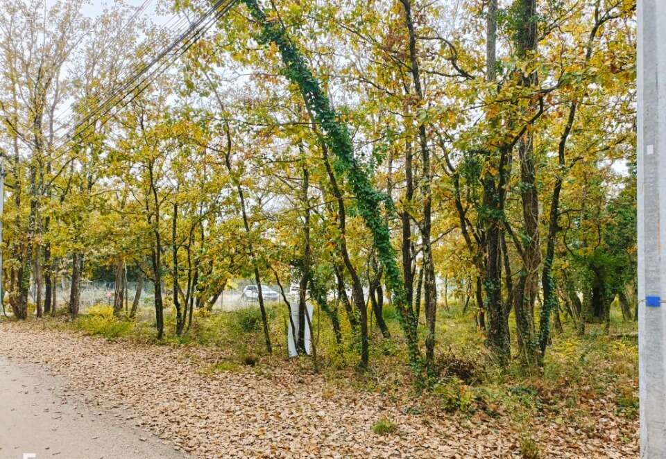 Terrain à TRANS-EN-PROVENCE