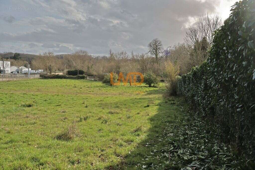 Terrain à bâtir de 4500 m² au Blanc (36300) – Prêt à construire - photo 6