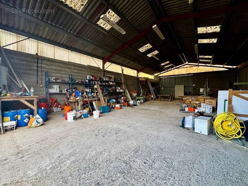 Commerce à MONSEGUR