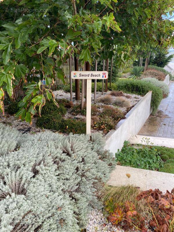 Appartement à LUC-SUR-MER