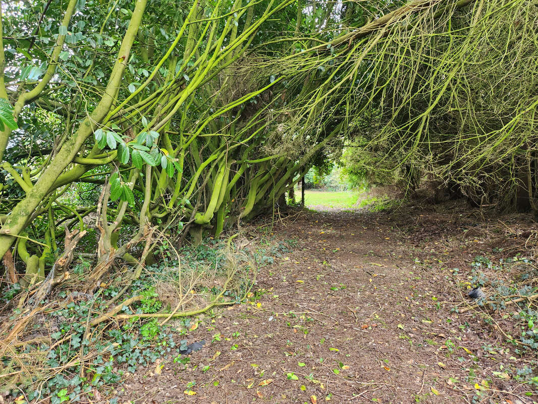 Maison à SAINT-GILLES-VIEUX-MARCHE