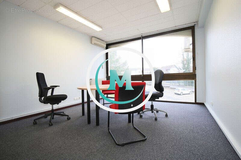 Commerce à MONTAUBAN