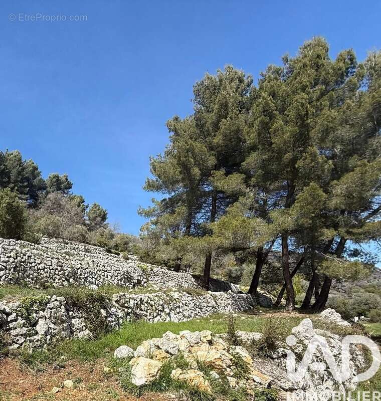 Photo 2 - Terrain à CARROS