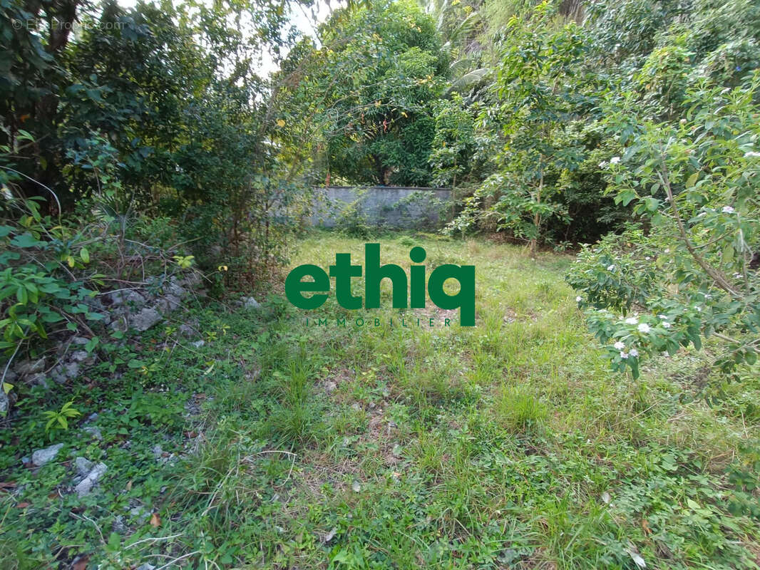 Terrain à SAINTE-ANNE