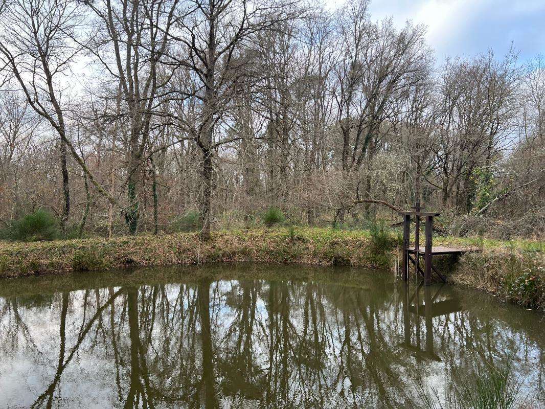 Terrain à VILLEFRANCHE-SUR-CHER