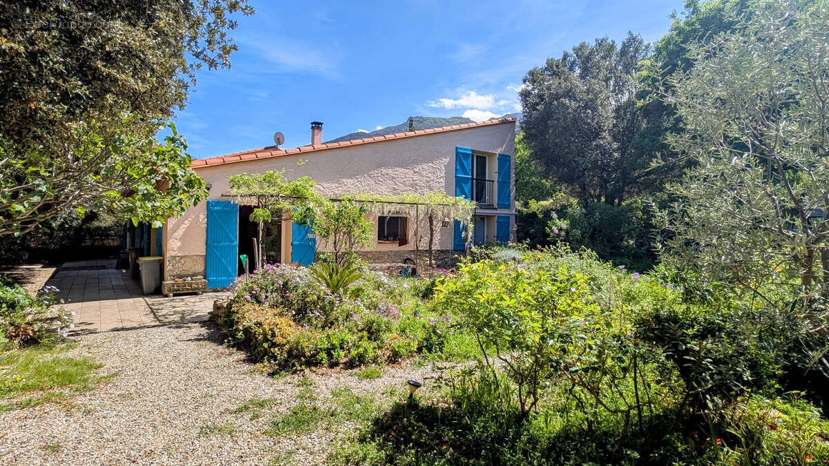 Maison à LAROQUE-DES-ALBERES