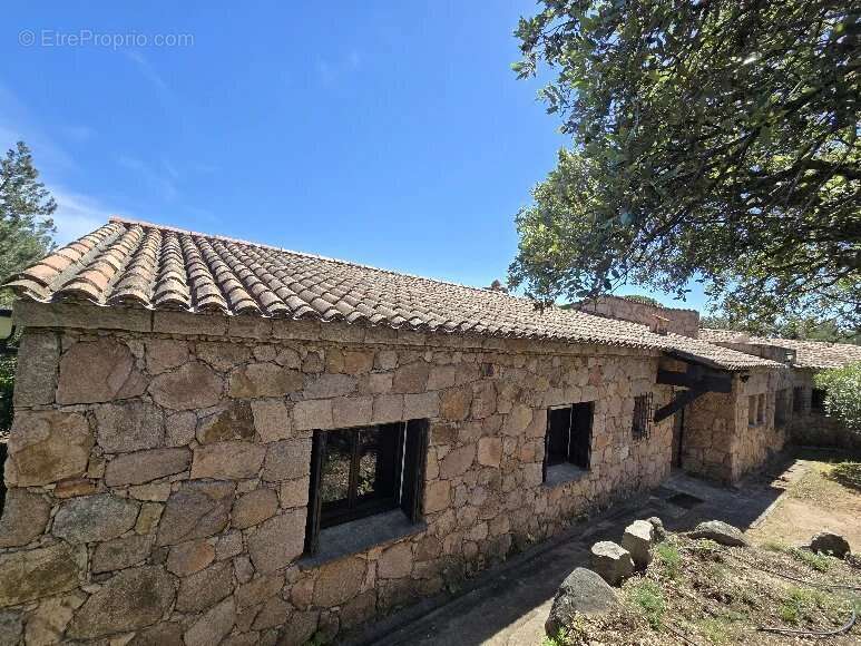 Maison à PORTO-VECCHIO