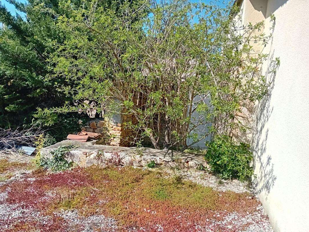 Maison  2 pièces 34 m2  jardin - photo 13