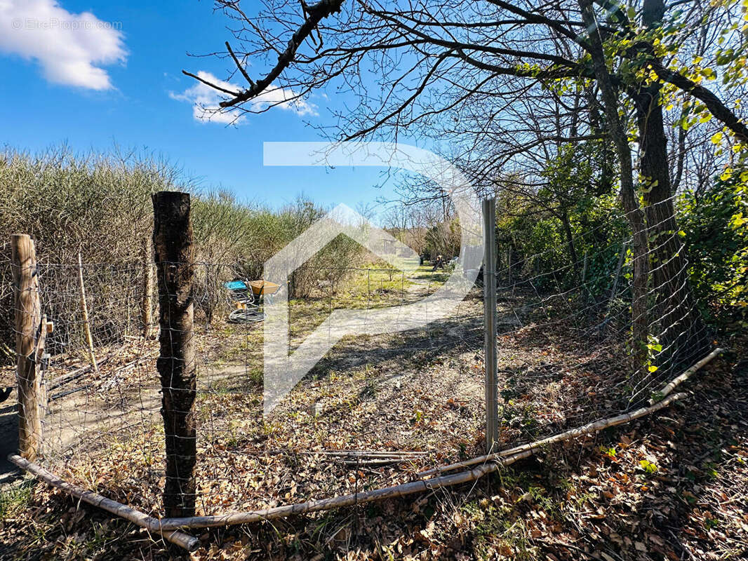 Terrain à ILLE-SUR-TET