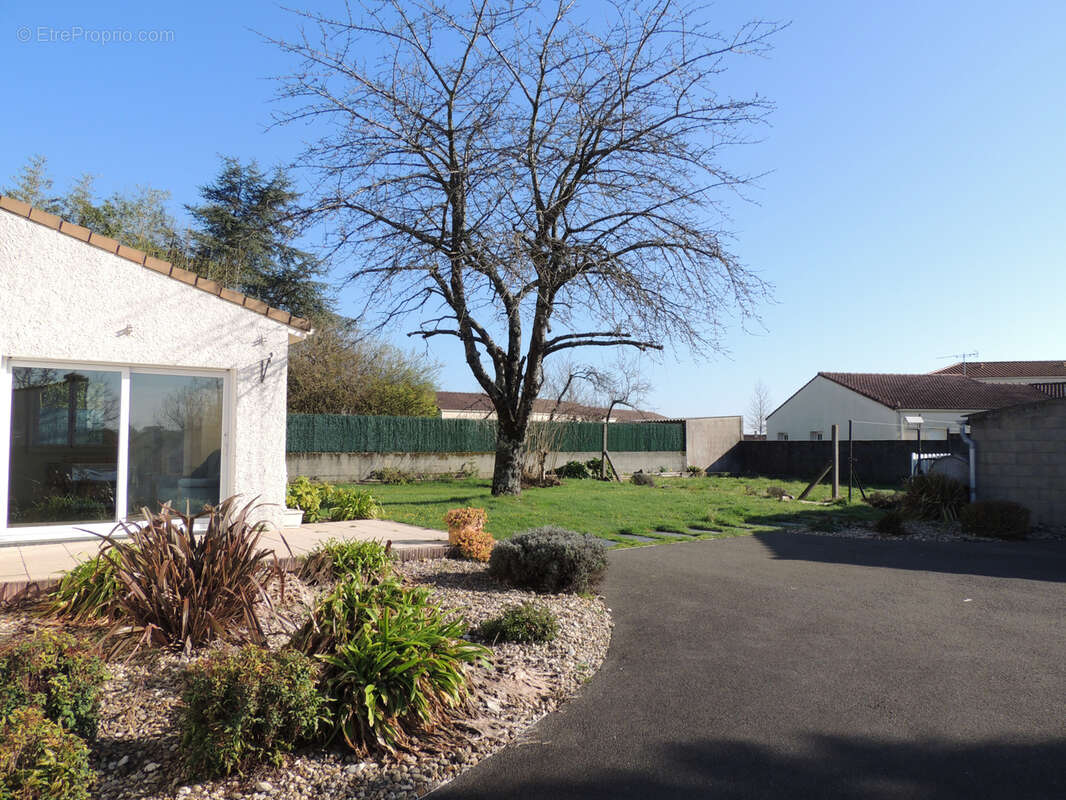 Maison à SAINT-MARTIN-DES-NOYERS
