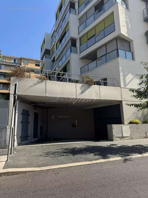 Gambetta trachel - photo 2