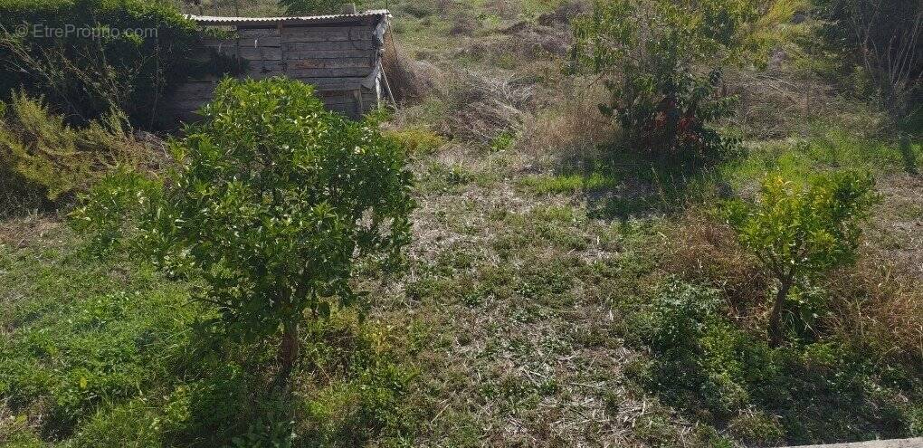 Terrain à BASTELICACCIA