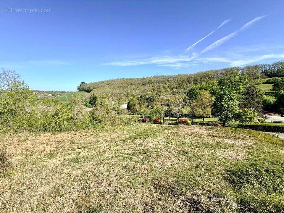 Terrain 6136 m² à Duran  - photo 4
