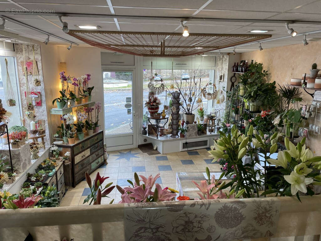 Maison à ARNAC-POMPADOUR