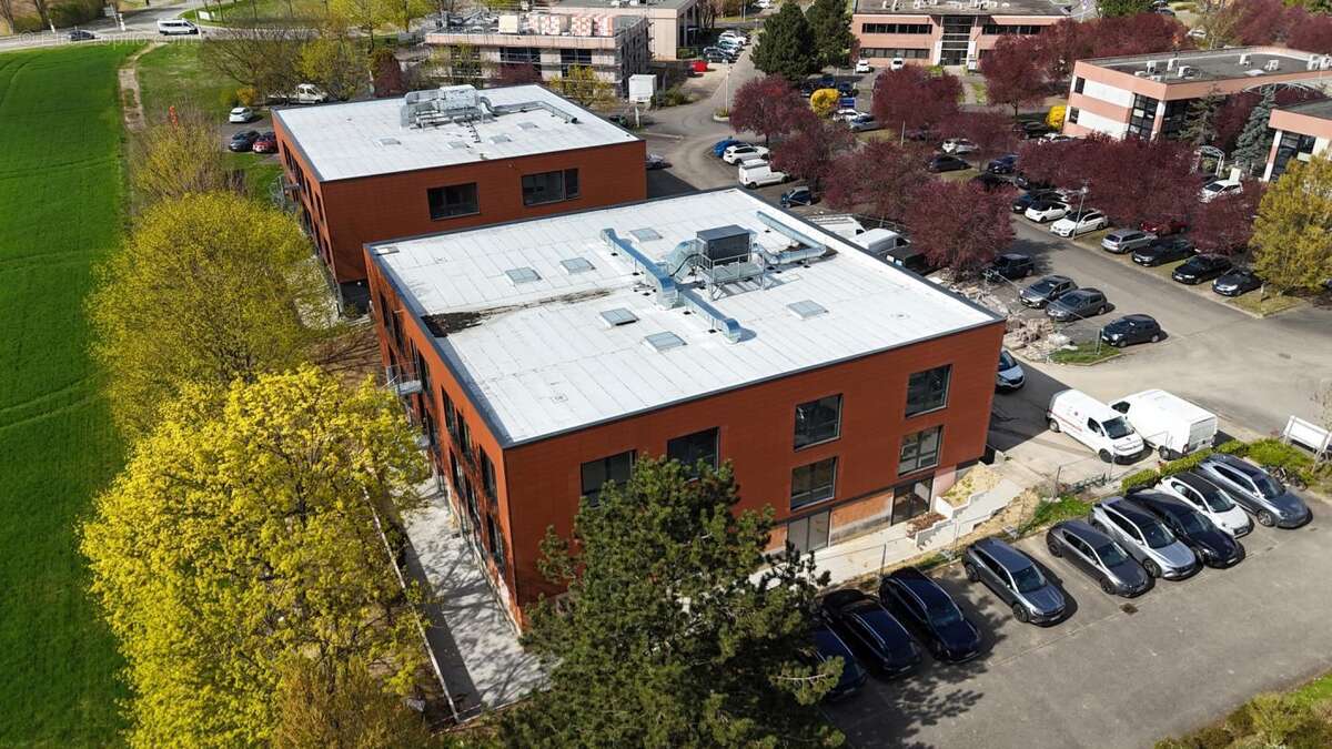 Commerce à OBERHAUSBERGEN