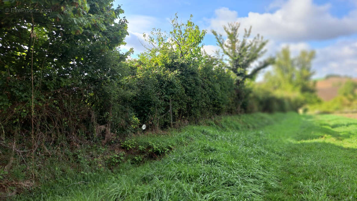 Terrain à MONTPEZAT-DE-QUERCY