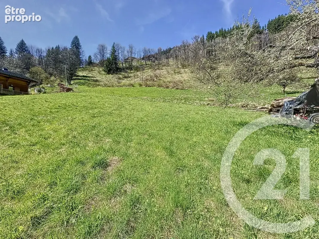 Terrain 576 m² à vendre à La Cote-D'arbroz (74110) - photo 3