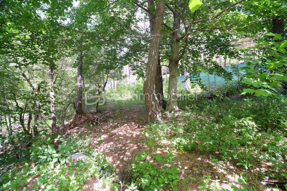 Petit chalet de 27 m2 à la montagne sur terrain arboré de 1120 m2 - photo 6