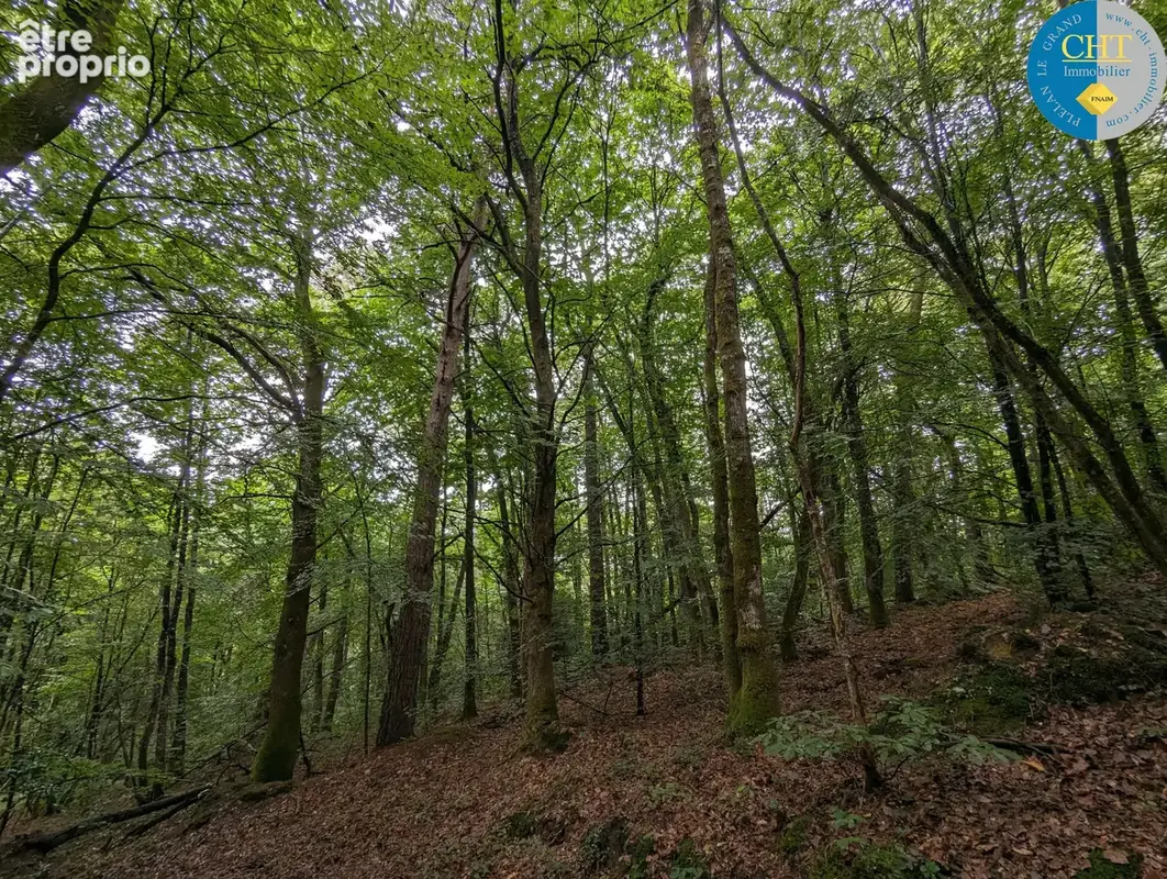 Magnifique terrain boisé de 720 m2 à saint malo de beignon (56380) avec cht immobilier - photo 2