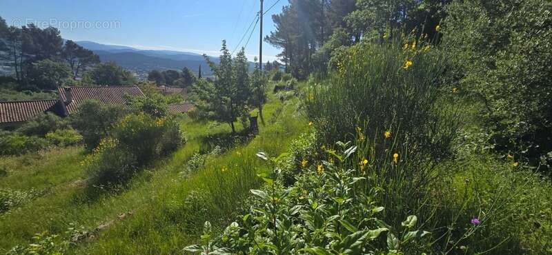 Terrain à SOLLIES-VILLE